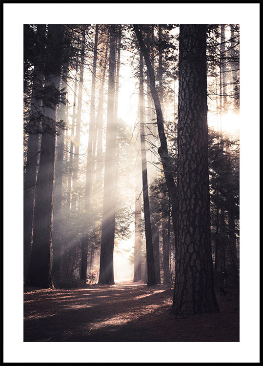 Yosemite Valley Plakat - Posterbox.dk