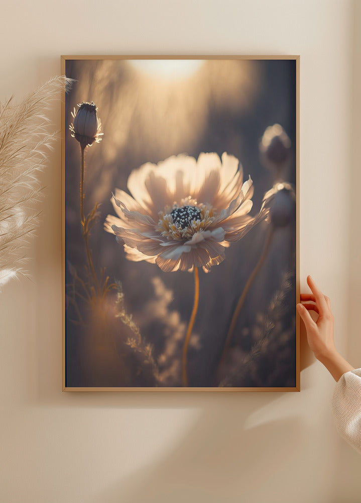 Sunlit Blossom Plakat