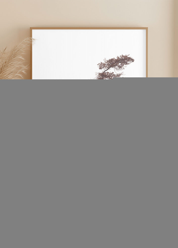 Skulptūrinių pušų plakatas