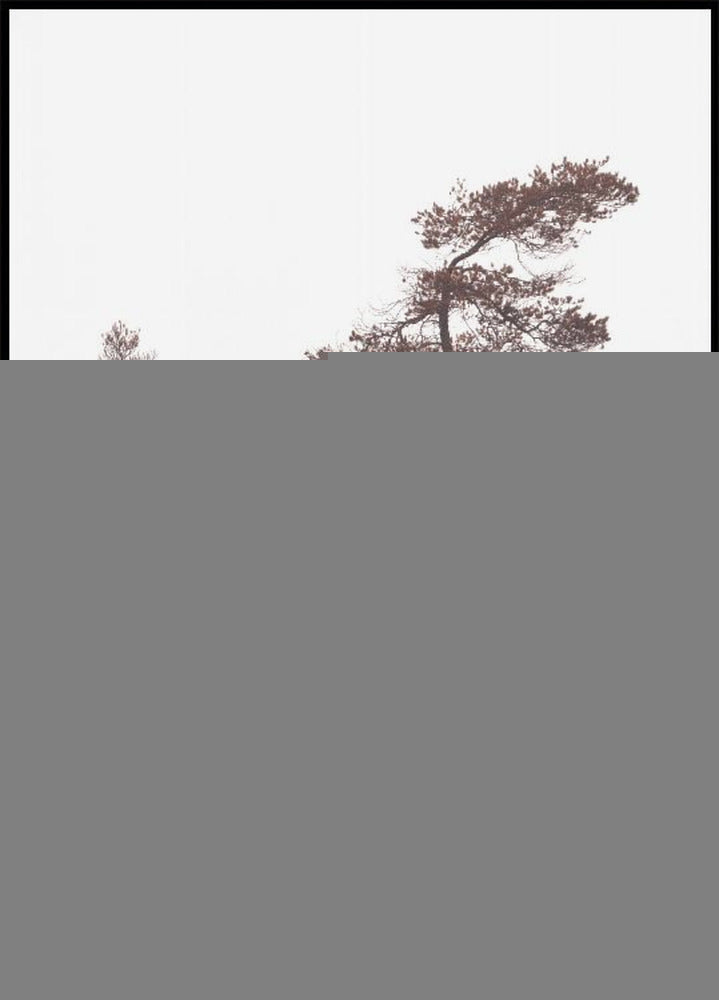 Skulptūrinių pušų plakatas