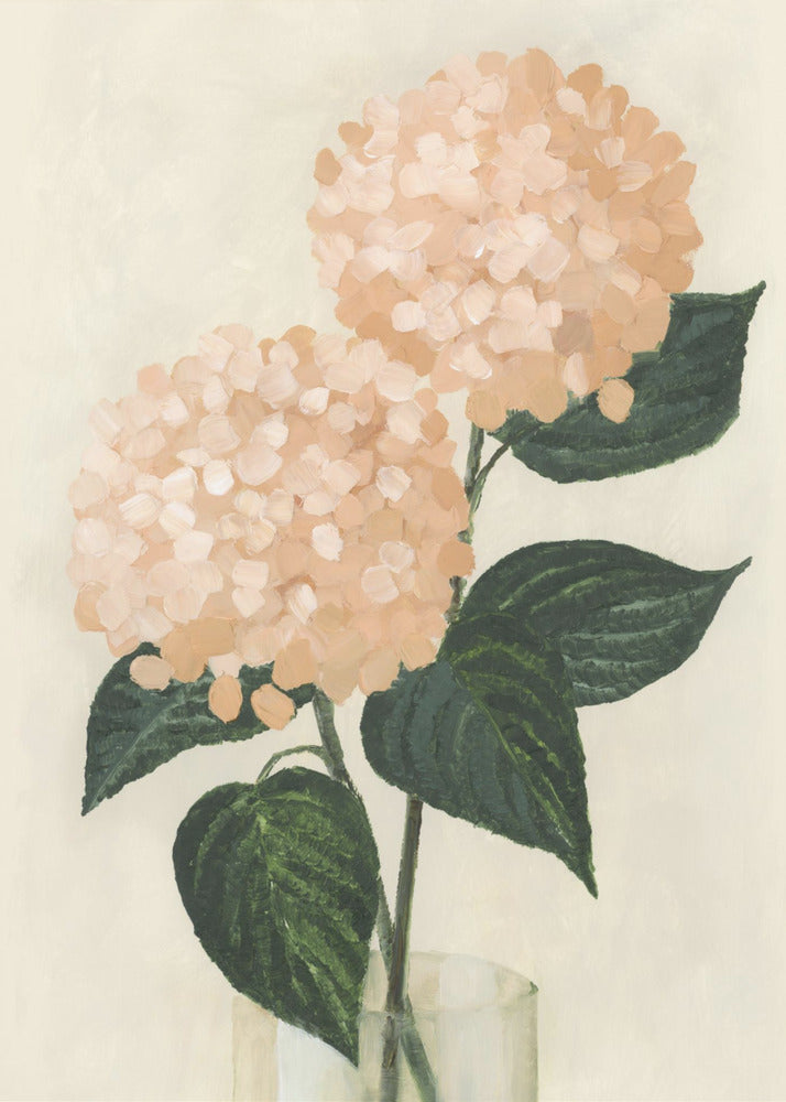 Coral hydrangeas in a vase Plakat