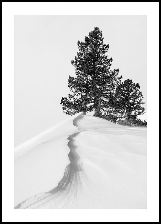 About the snow and forms Plakat - Posterbox