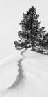 About the snow and forms Plakat - Posterbox