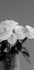 Rose Plakat - Posterbox.dk