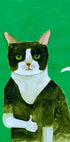 Tuxedo Cat Thumbs Up - Posterbox