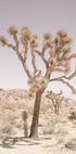Desert Serenity - Posterbox