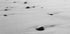 Small Stones On The Beach Plakat - Posterbox.dk