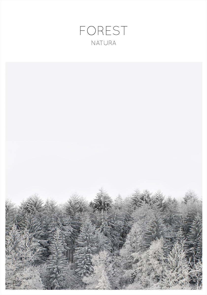 Frosted Tranquility Plakat - Posterbox
