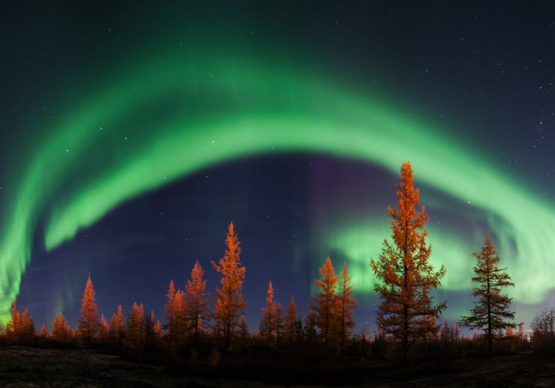 Vibrant Aurora Night Sky