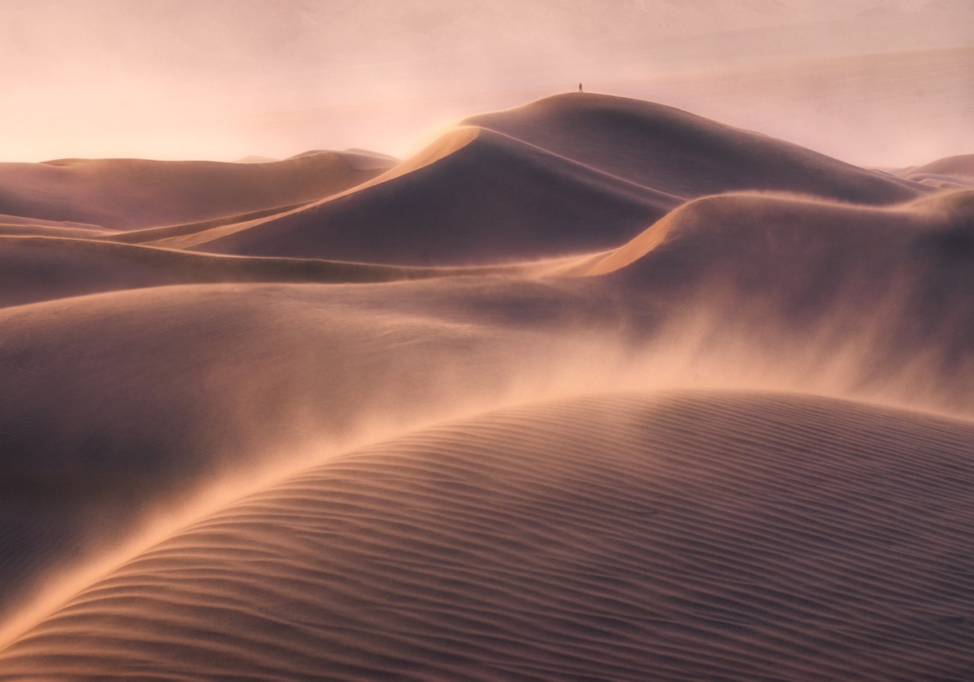 Golden Desert Solitude