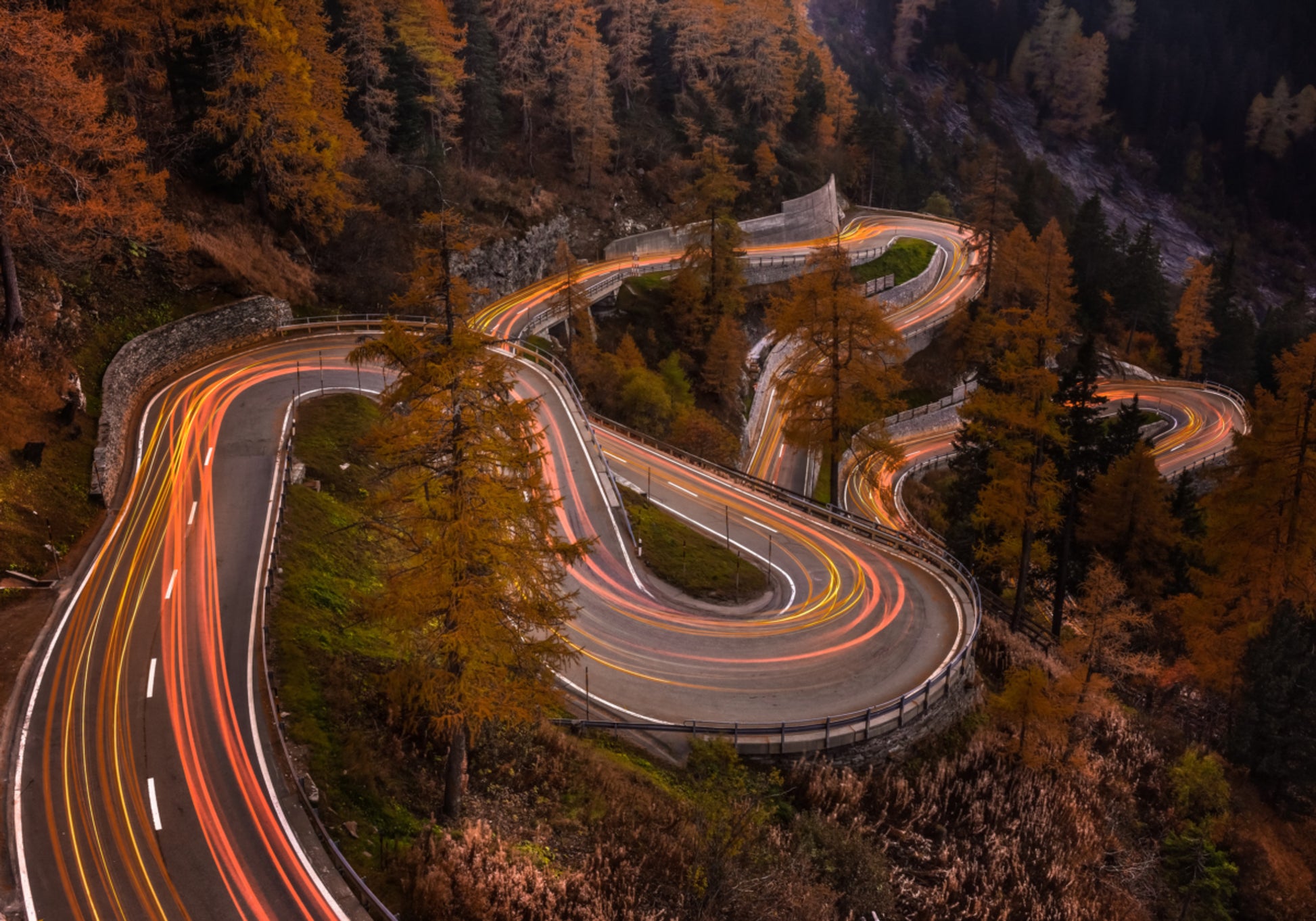 Autumn Road Light Trails