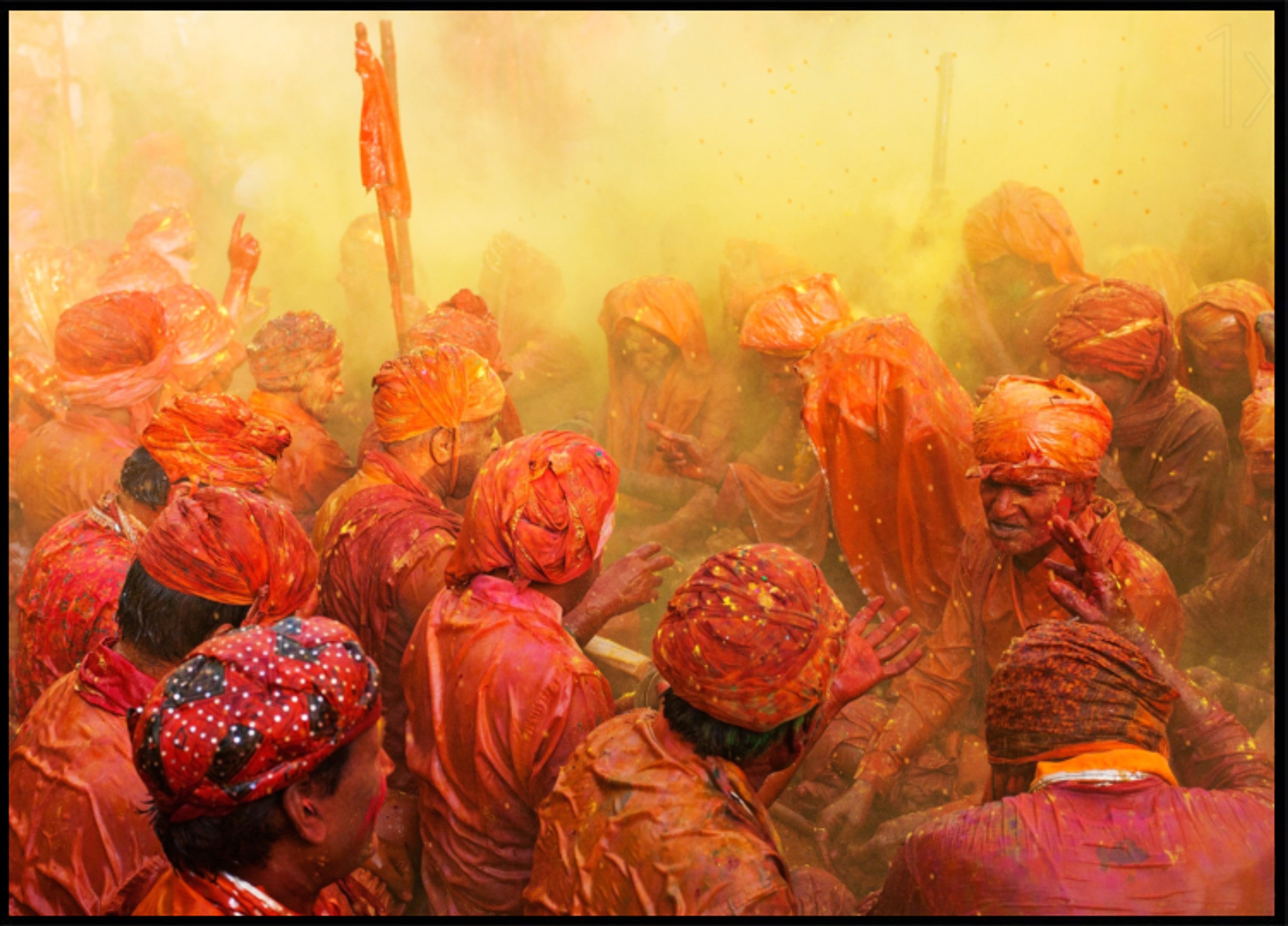 Vibrant Holi Celebration