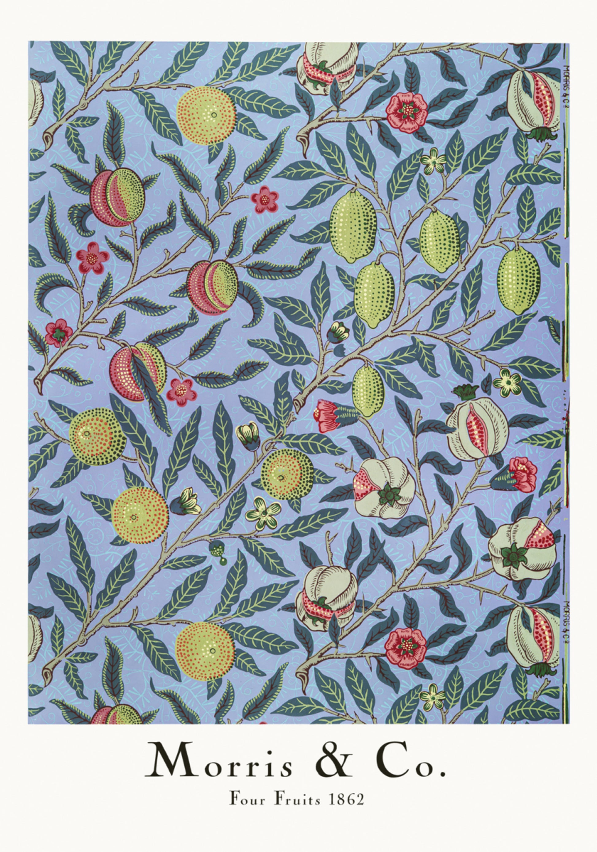 Four Fruits