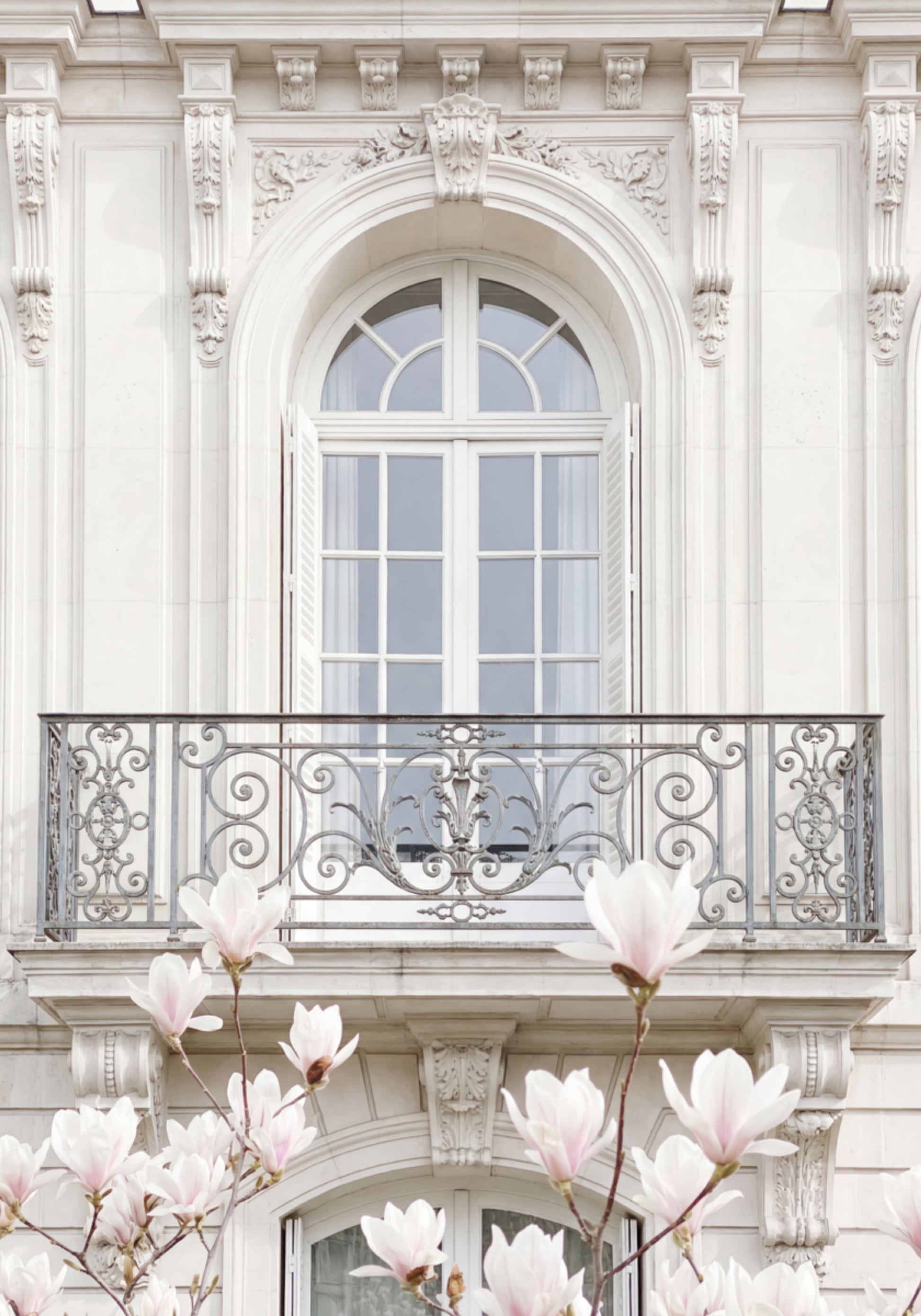 Baltas fasādes magnolijas