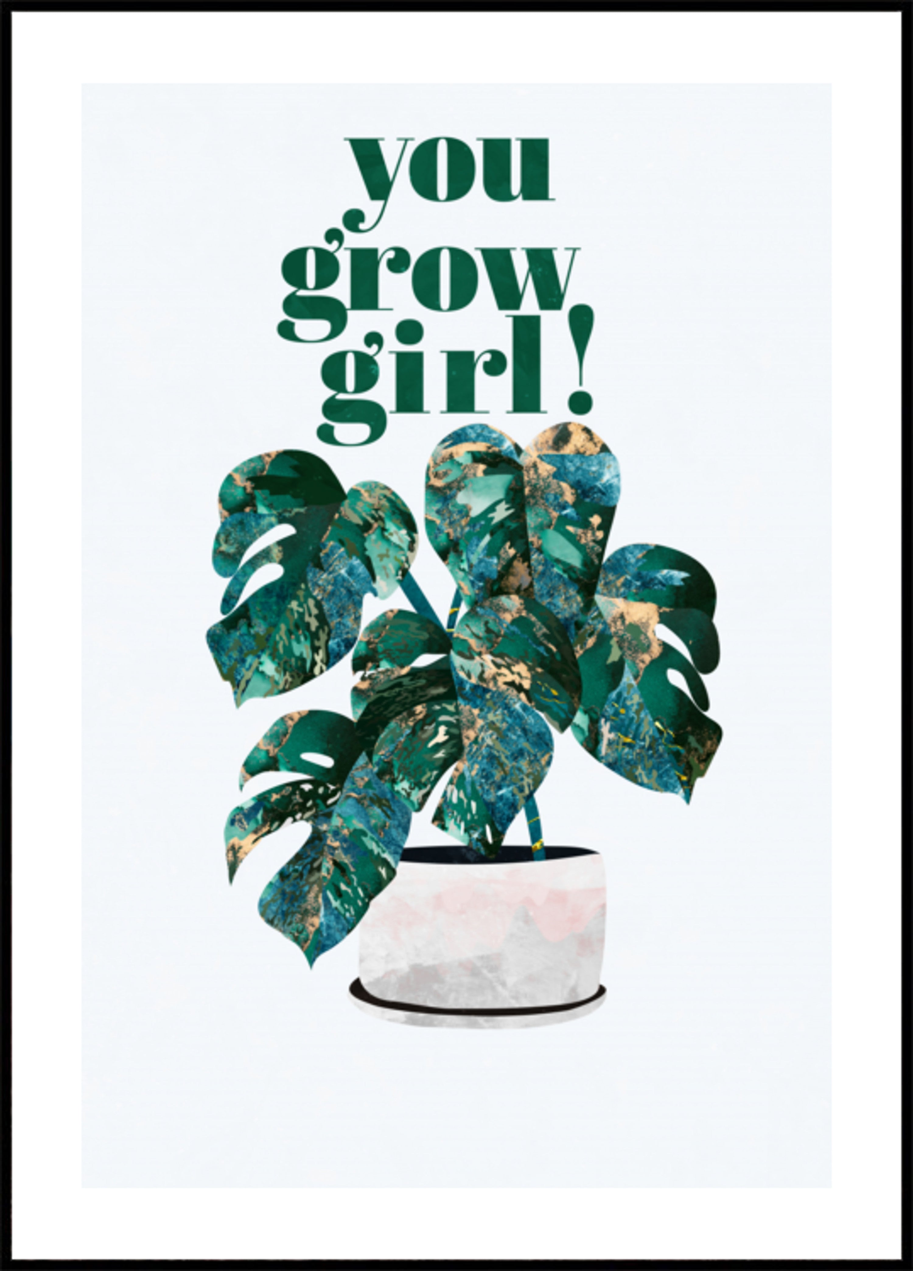 Dir Grow Girl Monstera