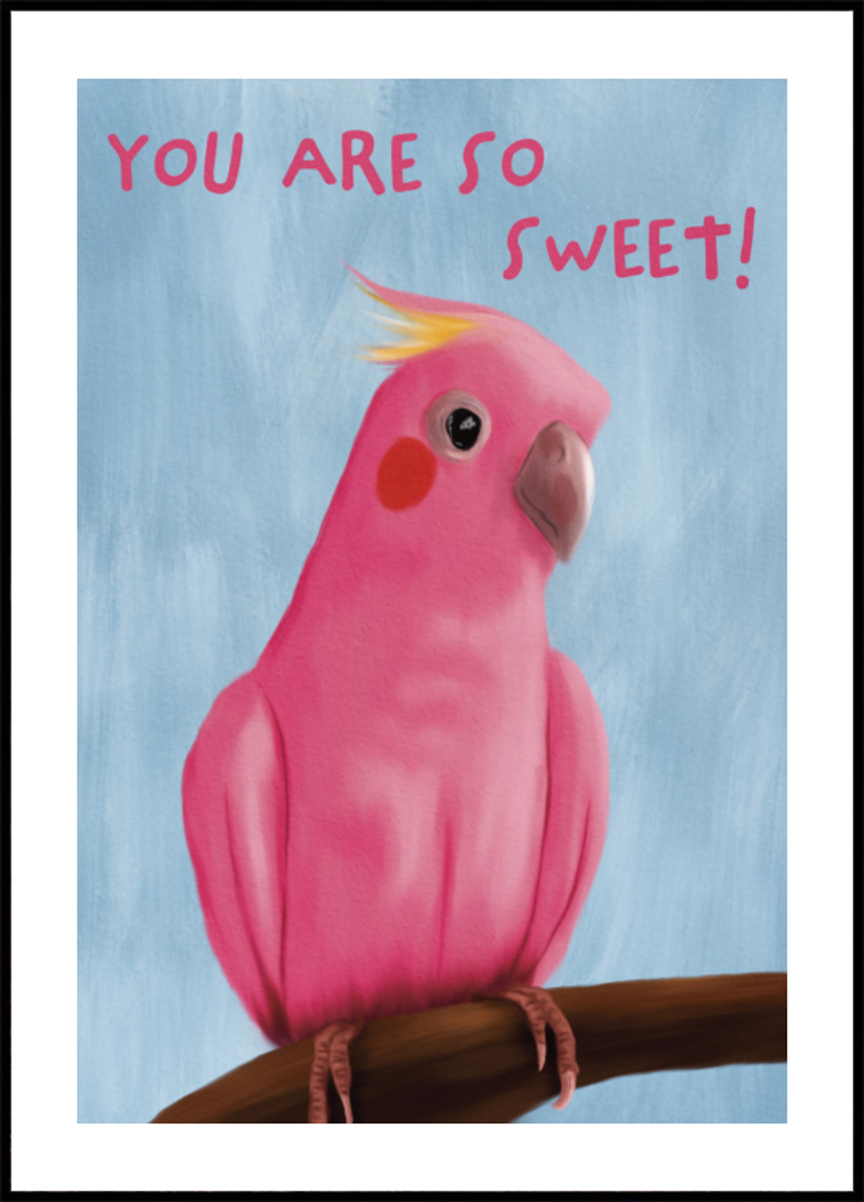 Saldus Pink Galah
