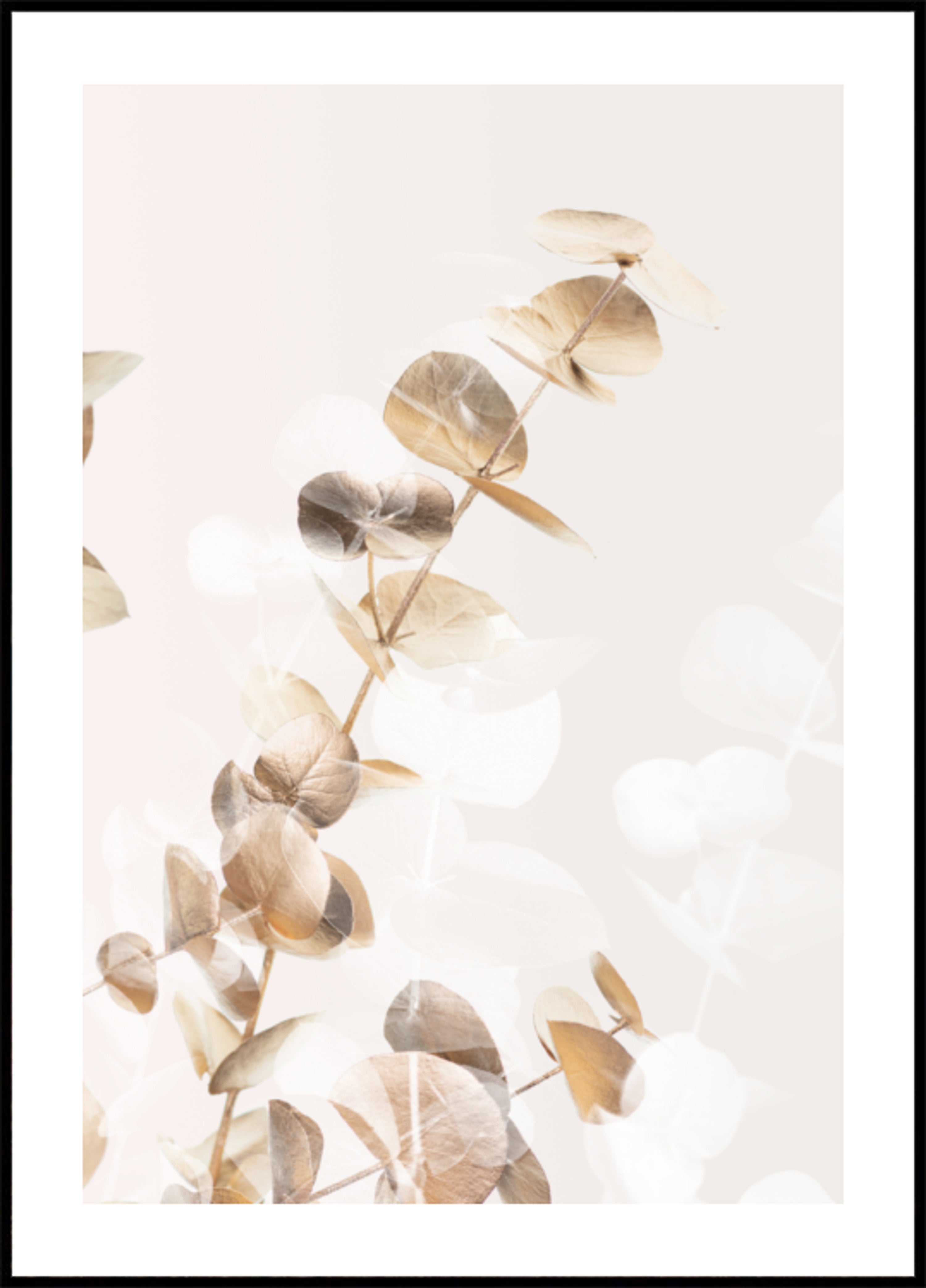 Soft Eucalyptus Blieder