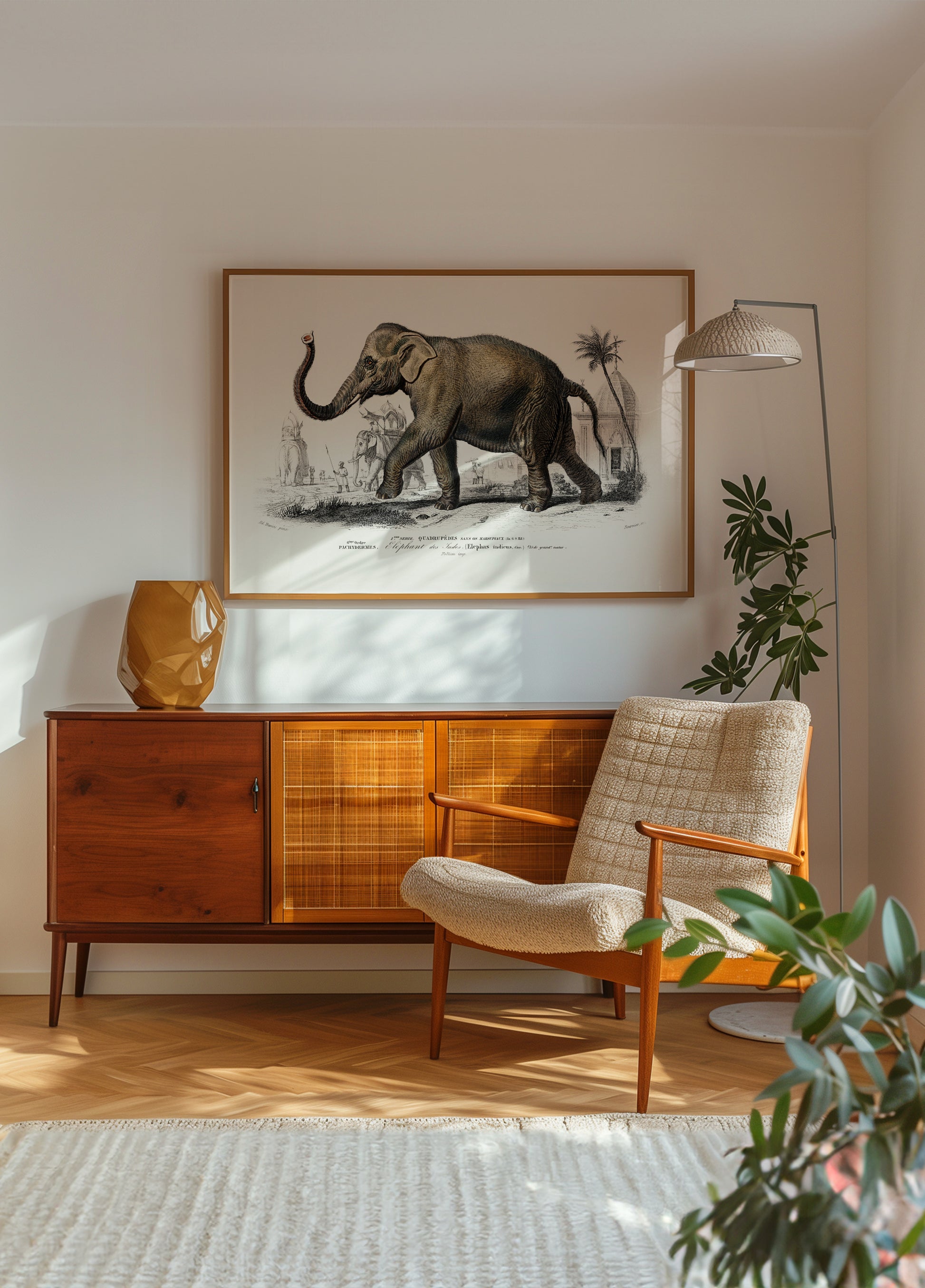 Asiateschen Elefant