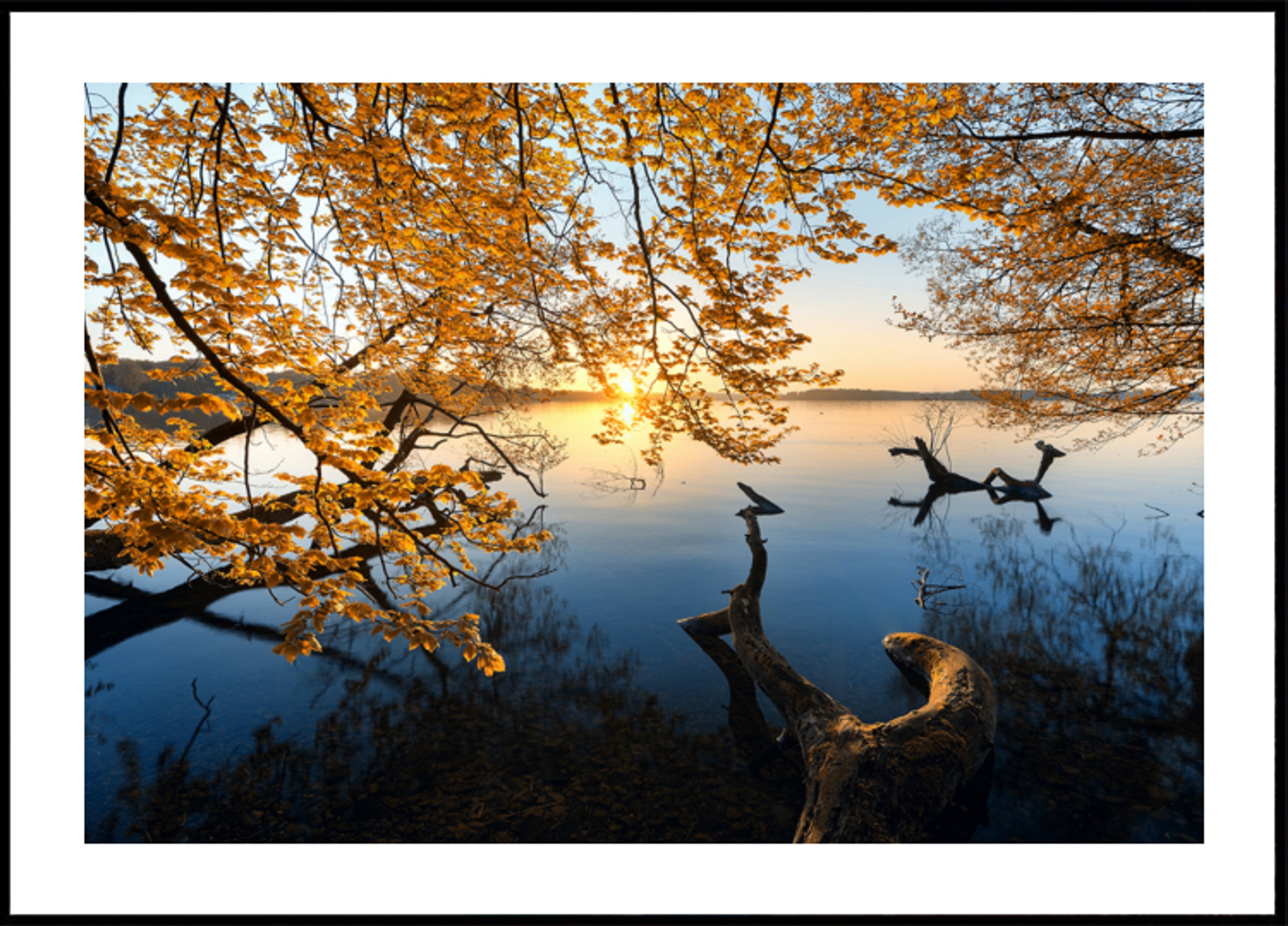 Golden Hierscht Lake Sunrise