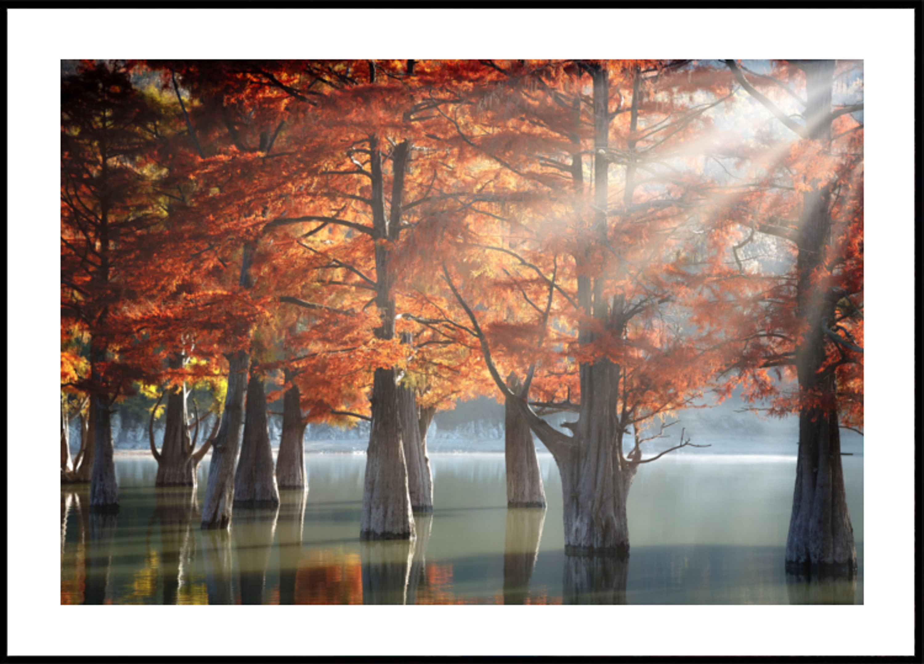 Golden Hierscht Cypress Lake