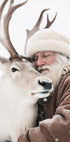 Winter Companions Plakat - Posterbox