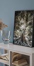 Tree with Large Roots Plakat - Posterbox.dk