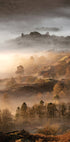 Wonderful Autumn Morning Plakat - Posterbox.dk