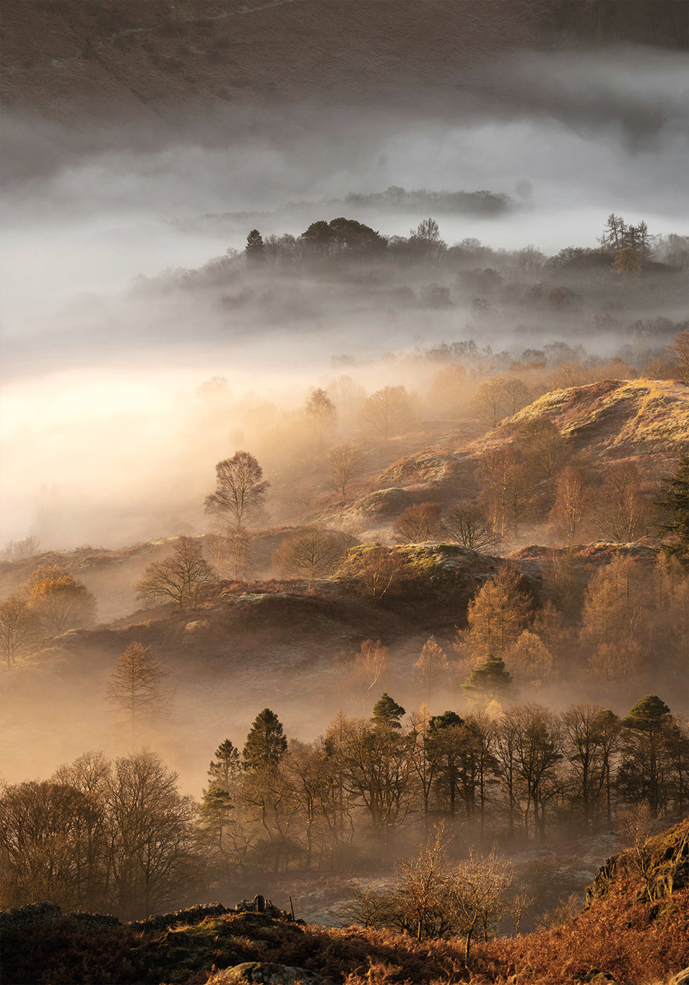 Wonderful Autumn Morning Plakat - Posterbox.dk